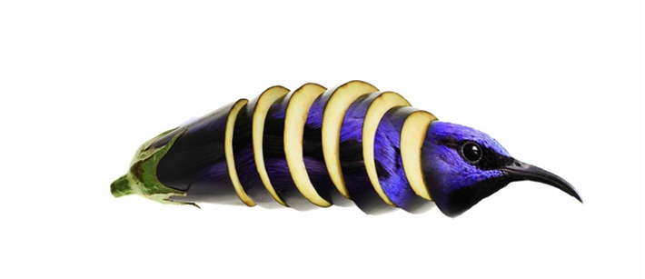 蔬果动物造型创意作品简单,灵感脑洞大开的动物创意合成