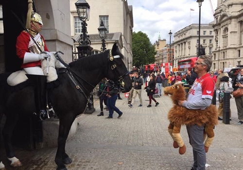 弹球-社会你胖哥人狠话不多！还不快四四发抖
