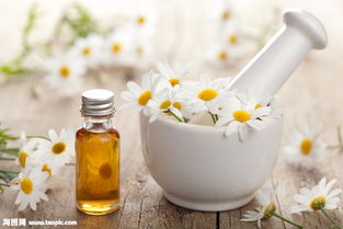 教你认识美妙的罗勒精油,精油的100种打开方式