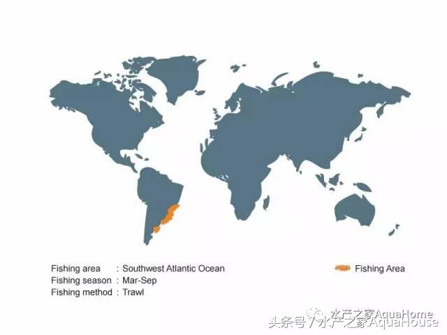 2016全国水产品市场价格,2020年10月22日水产品价格