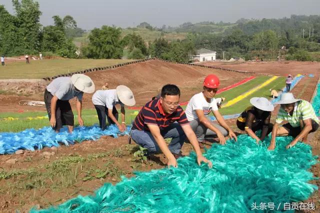 富顺建成全省规模最大的滑草场，走起！