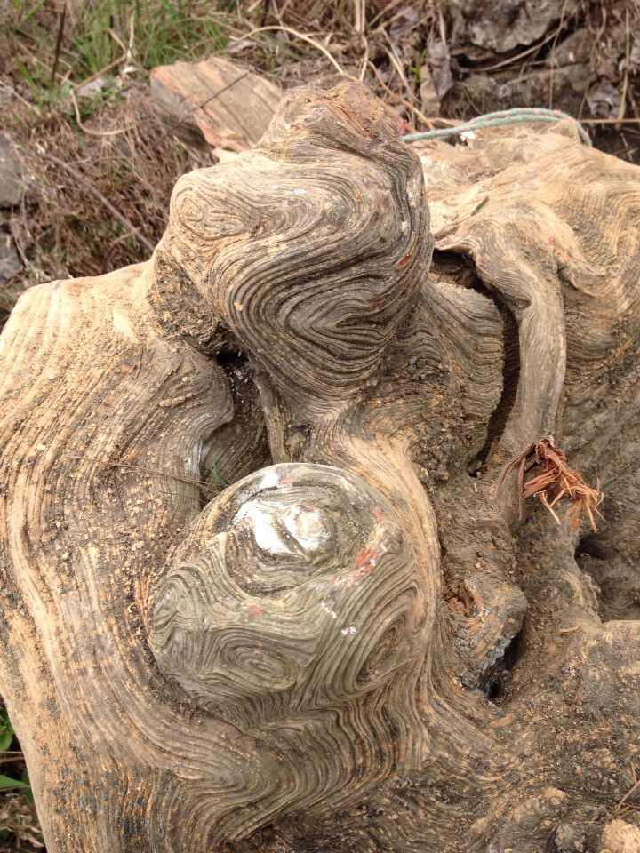 崖柏毛料去皮的正确打开方式,用纱布手磨崖柏毛料技巧