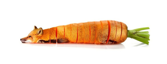 蔬果动物造型创意作品简单,灵感脑洞大开的动物创意合成