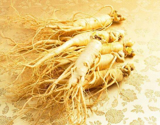 白参花旗参党参有什么区别,人参党参西洋参花旗参的区别图片