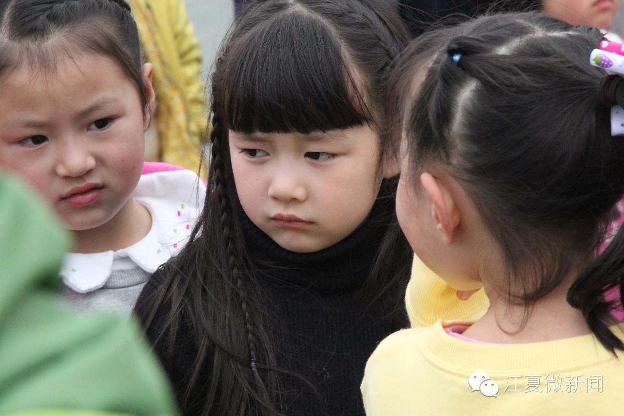 亲子植树活动信息,社区亲子植树活动