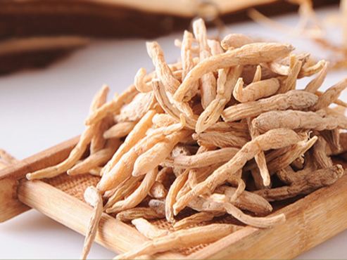 白参花旗参党参有什么区别,人参党参西洋参花旗参的区别图片