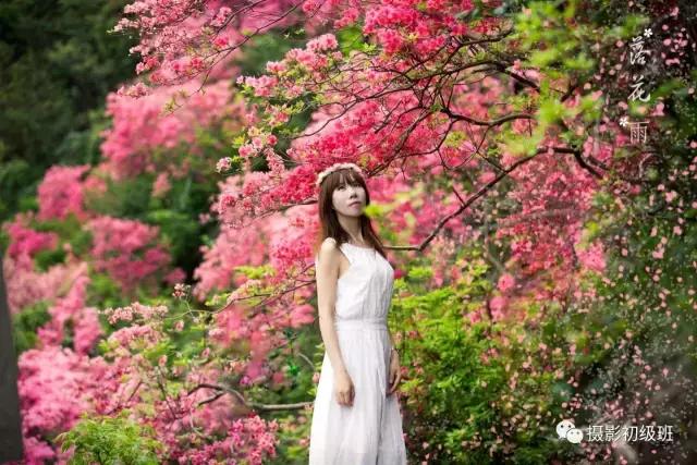 人像摄影如何让人更明亮,动感人像拍摄方法视频