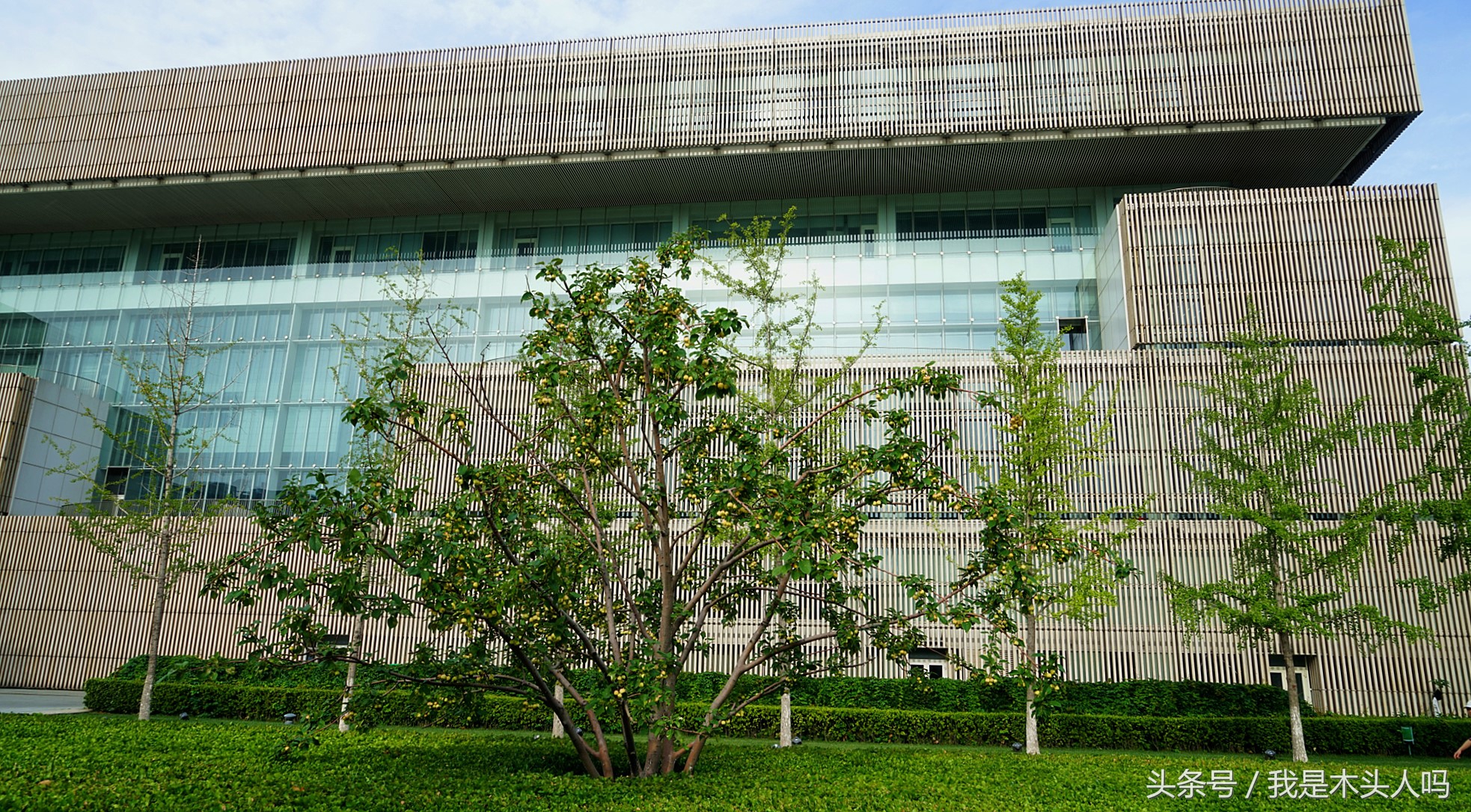 天津银河广场原来样子,天津银河广场最新视频