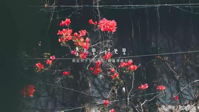 佛山南风古灶属于什么文化遗产,佛山南风古灶景点介绍图