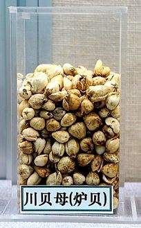 中药怎么吃效果最好最快,中药调理吃什么最好