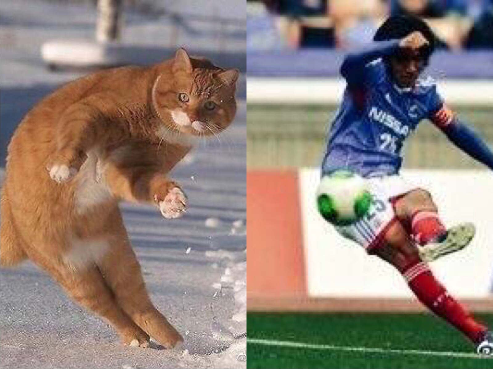 中日足球差距,郑智和中村俊辅在一起踢过球吗