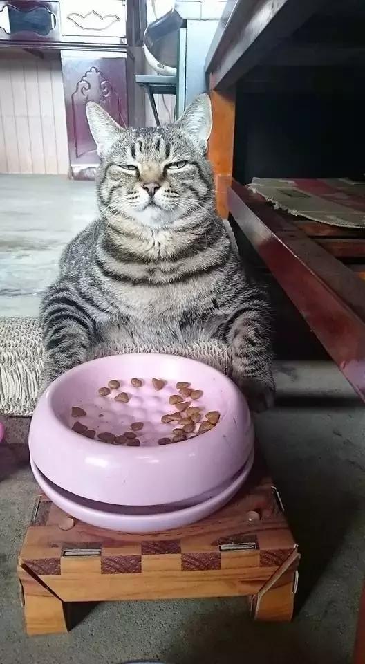 汉字有形声字会意字象形字,会意字形声字象形字还有哪些