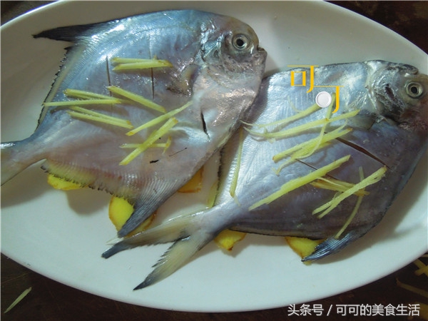 鲳鱼的家常做法清蒸鲳鱼,清蒸鲳鱼需要预先处理鲳鱼内脏吗