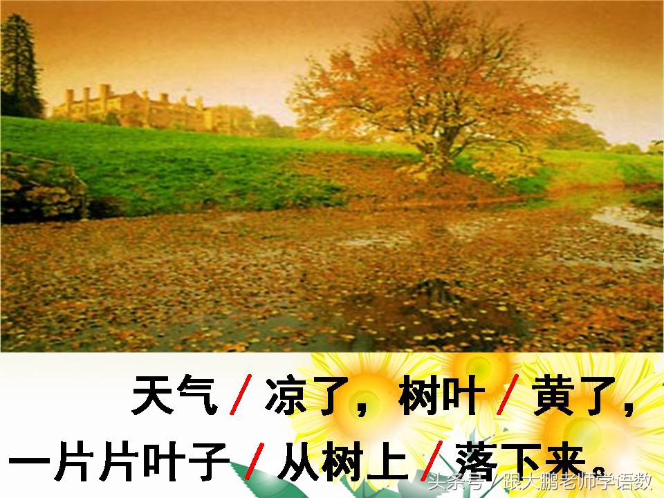 一年级上册课文秋天的练习题,语文部编版一年级上册第一课秋天