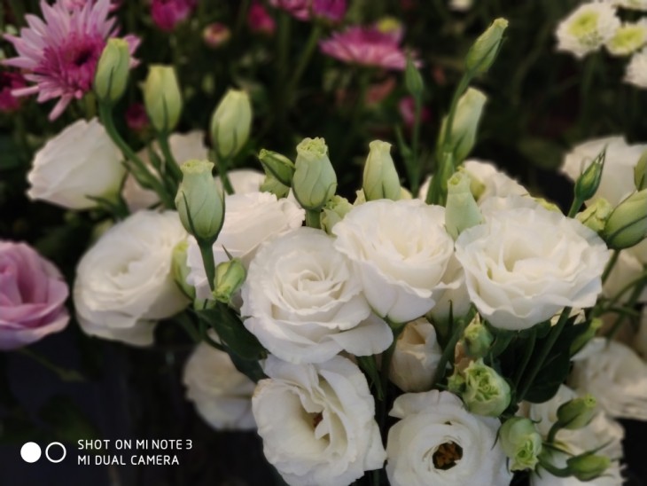 精湛的外观工艺/拍人更美的相机小米Note3评测