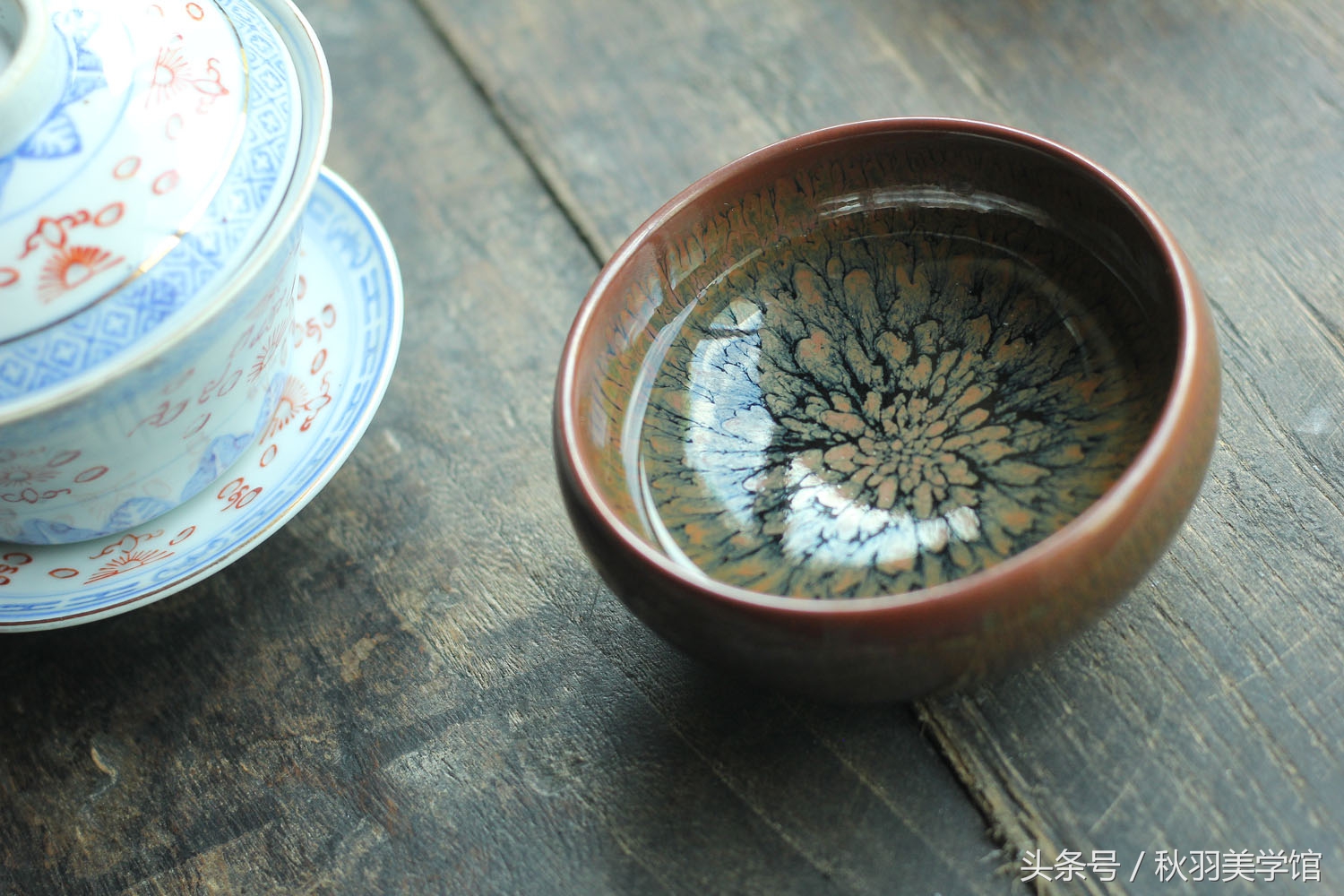 生活中的有些美需要你用心去发现,偶尔拾得人间绝色