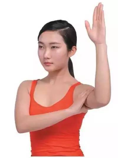 瑜伽怎样练出手臂上的力量,瑜伽瘦手臂最快的方法