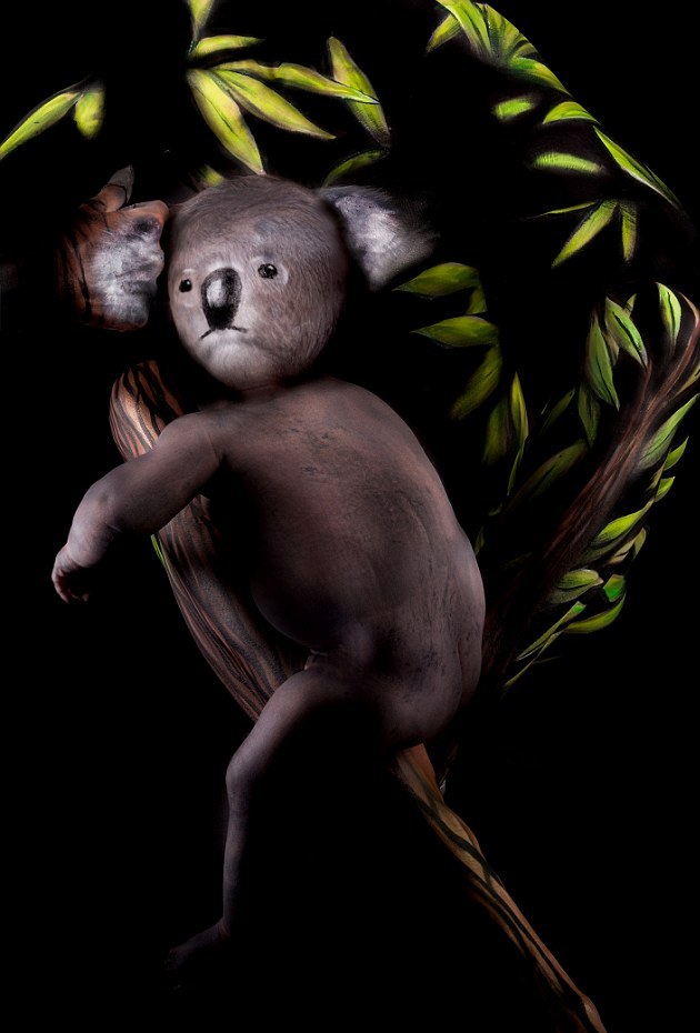 美丽的芭蕾舞者,美丽的芭蕾舞者视频