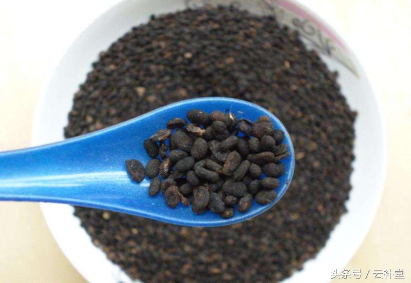 补骨脂的功效及用途禁忌,补骨脂的功效与作用剂量