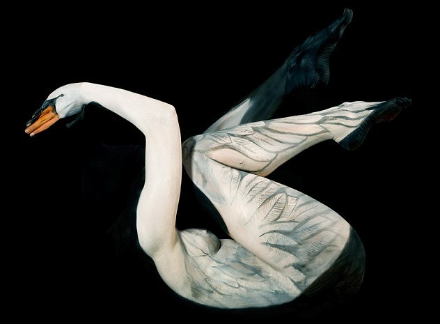 美丽的芭蕾舞者,美丽的芭蕾舞者视频