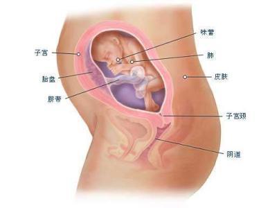 一胎剖二胎怎么剖,一胎剖二胎不能超过40周吗