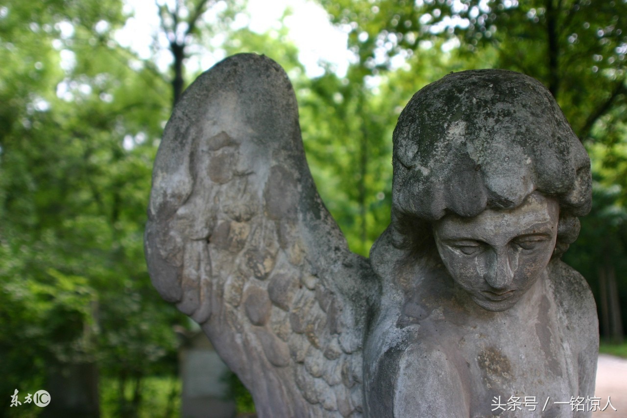 心灵鸡汤励志正能量短句人生感悟,励志心灵鸡汤正能量小故事