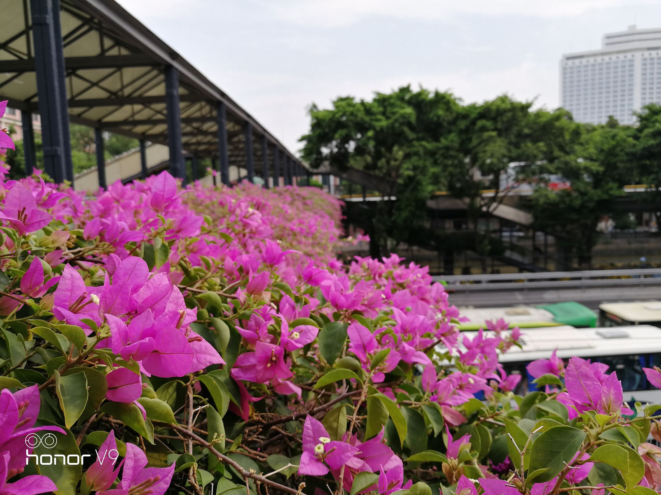 光荣v9性能详细说明,光荣v9深度讲解