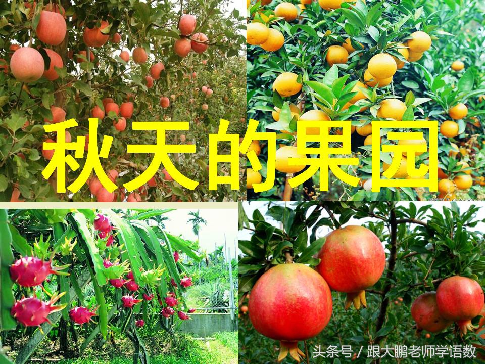 一年级上册课文秋天的练习题,语文部编版一年级上册第一课秋天