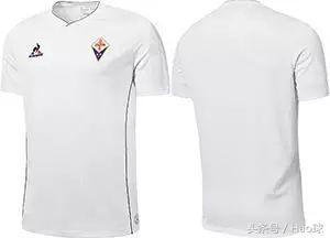 意甲紫百合由来,意甲紫百合是哪支球队