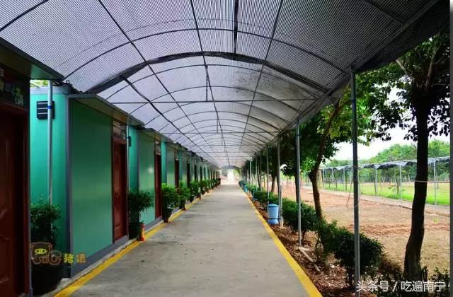 南宁十大最美农家乐推荐,南宁周边烧烤野炊前十排行