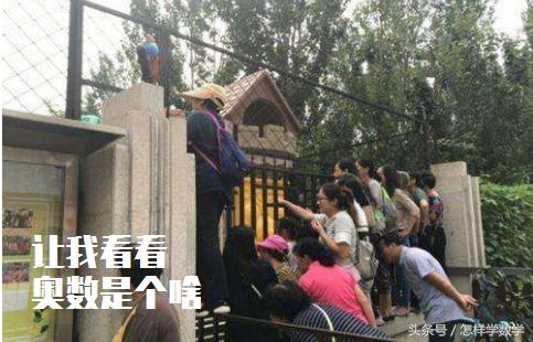 真正的奥数从几年级开始,小学一般几年级开始学奥数比较好