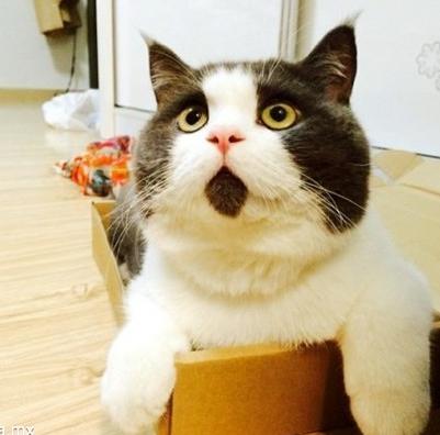 开店创业的一些策略,创业开店的技巧和方法