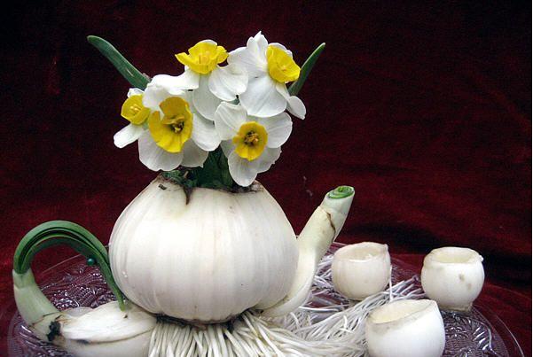 用塑料瓶自制植物自动浇水器,花盆土干了自动浇水器