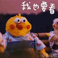 百鸟展门票,百鸟展门票早鸟票