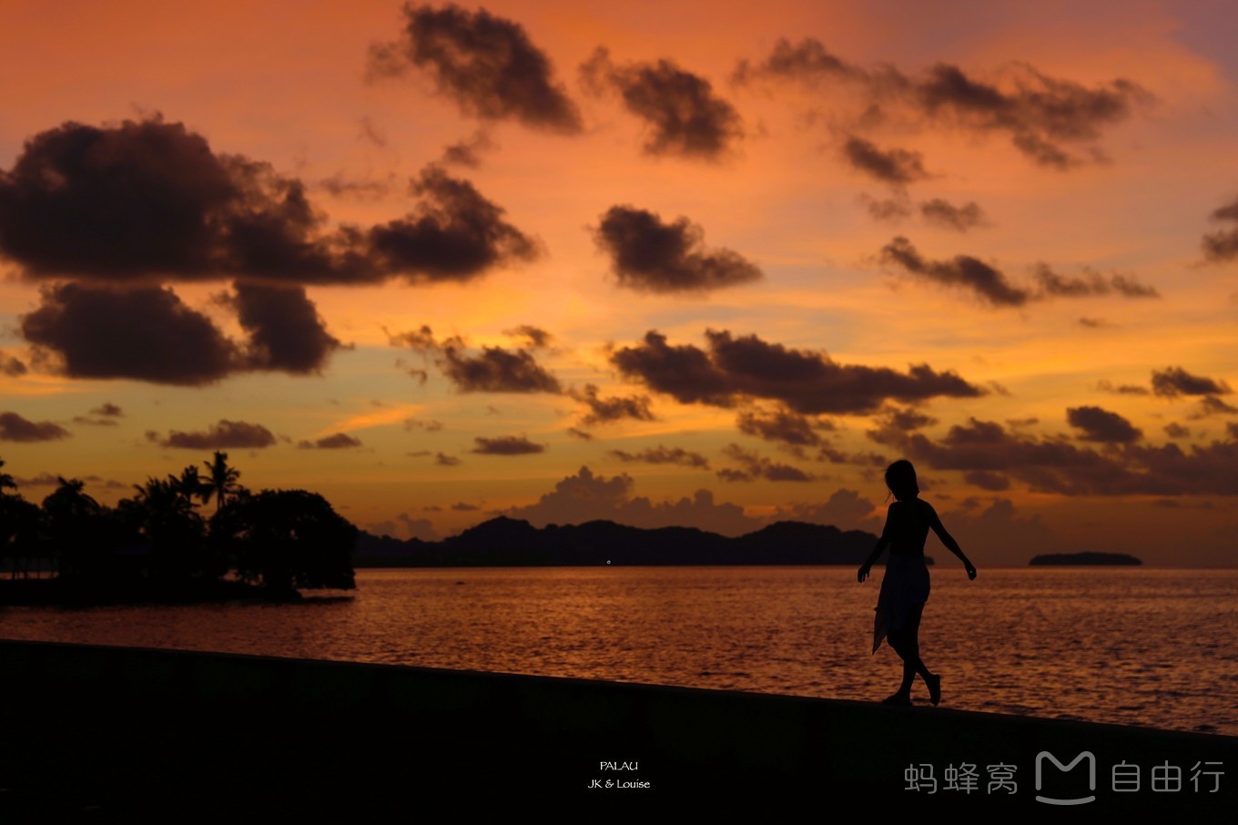 帕劳出海自由行,帕劳坐船旅游攻略