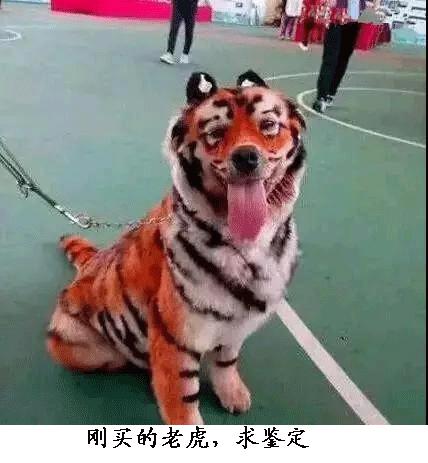 姑娘，你这样让我们没法做生意了啊，小本买卖