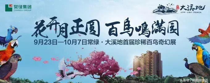 百鸟展门票,百鸟展门票早鸟票