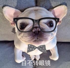 狗狗拉稀是因为喝了人类牛奶吗,狗狗便血还能吃狗粮吗