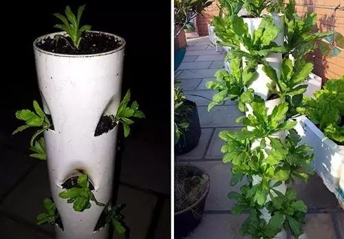 自制零成本花盆真好看,自制可爱的花盆大全