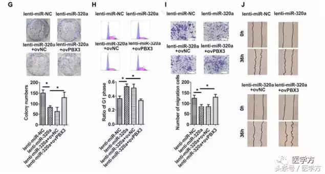 国自然标书参考文献格式,国自然标书引用参考文献的格式