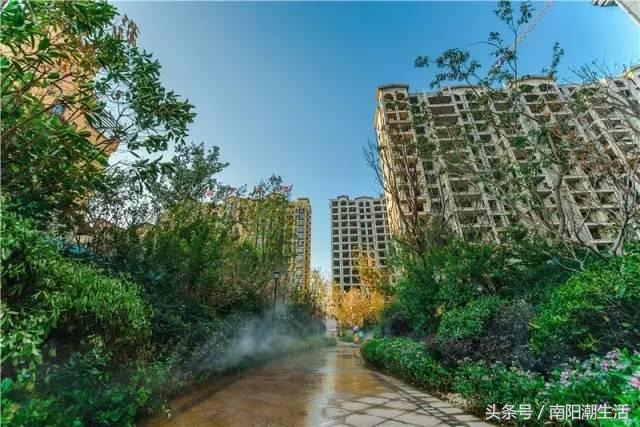 百鸟展门票,百鸟展门票早鸟票