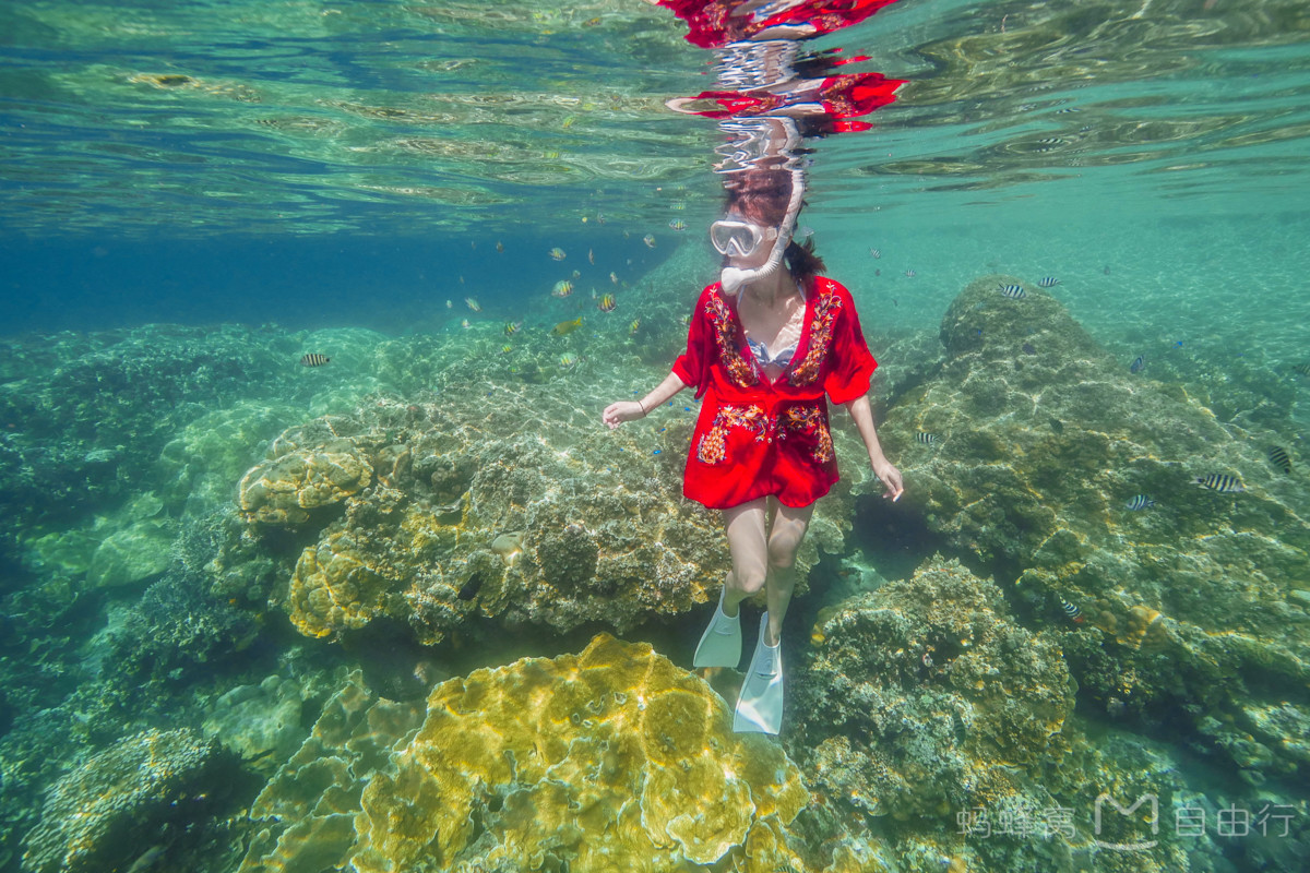 帕劳出海自由行,帕劳坐船旅游攻略