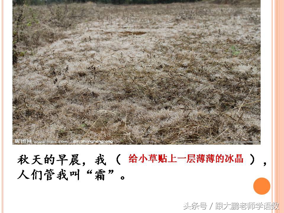 部编版二年级语文下册第一课课文,部编版二年级语文上册第二课视频