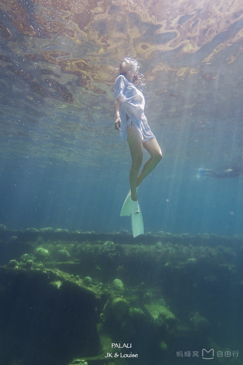 帕劳出海自由行,帕劳坐船旅游攻略