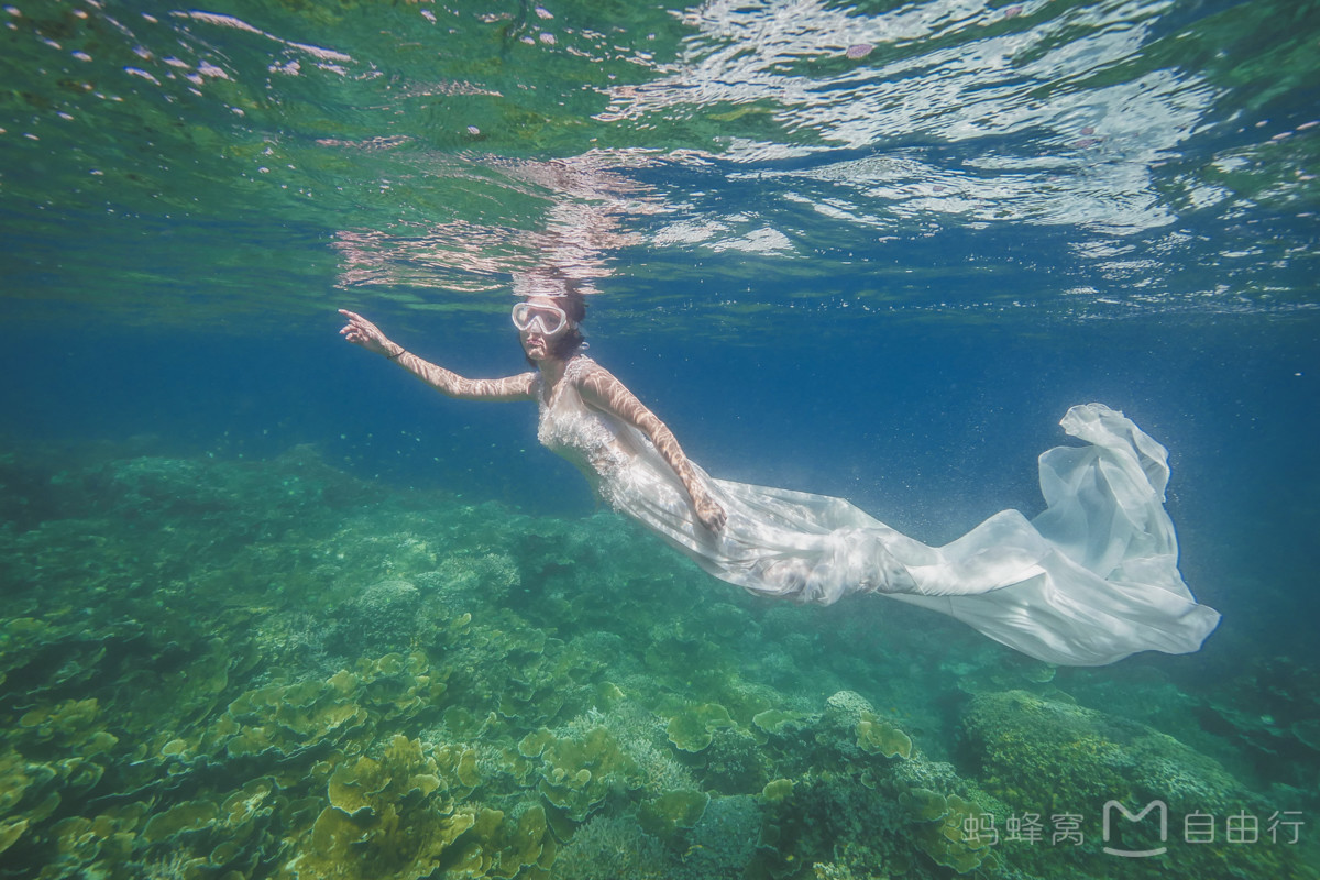 帕劳出海自由行,帕劳坐船旅游攻略