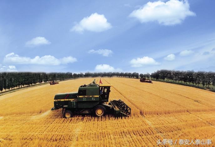 泰安市新泰市楼德镇,新泰市楼德镇地址