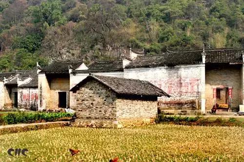 桂林阳朔崇左南宁旅游攻略,南宁阳朔北海旅游攻略