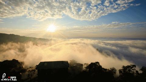 部编版二年级语文下册第一课课文,部编版二年级语文上册第二课视频