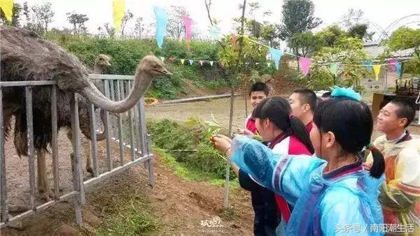 百鸟展门票,百鸟展门票早鸟票