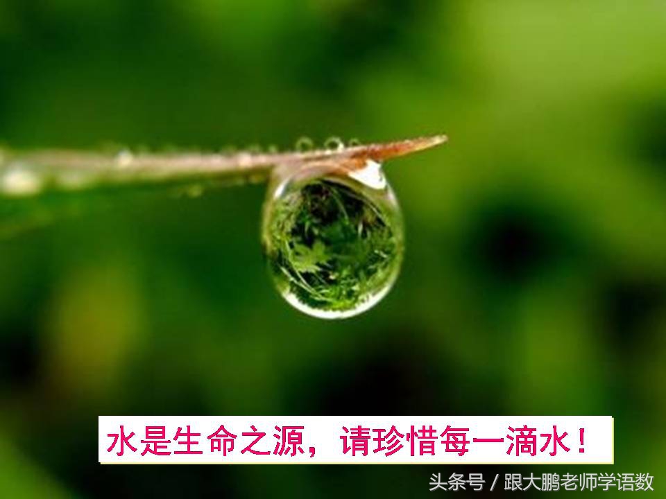 部编版二年级语文下册第一课课文,部编版二年级语文上册第二课视频